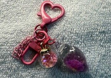 Phone and Key Ring accessory