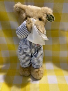 Illie Willie Get Well Bear