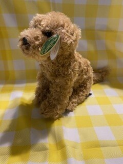Doodles the Labradoodle