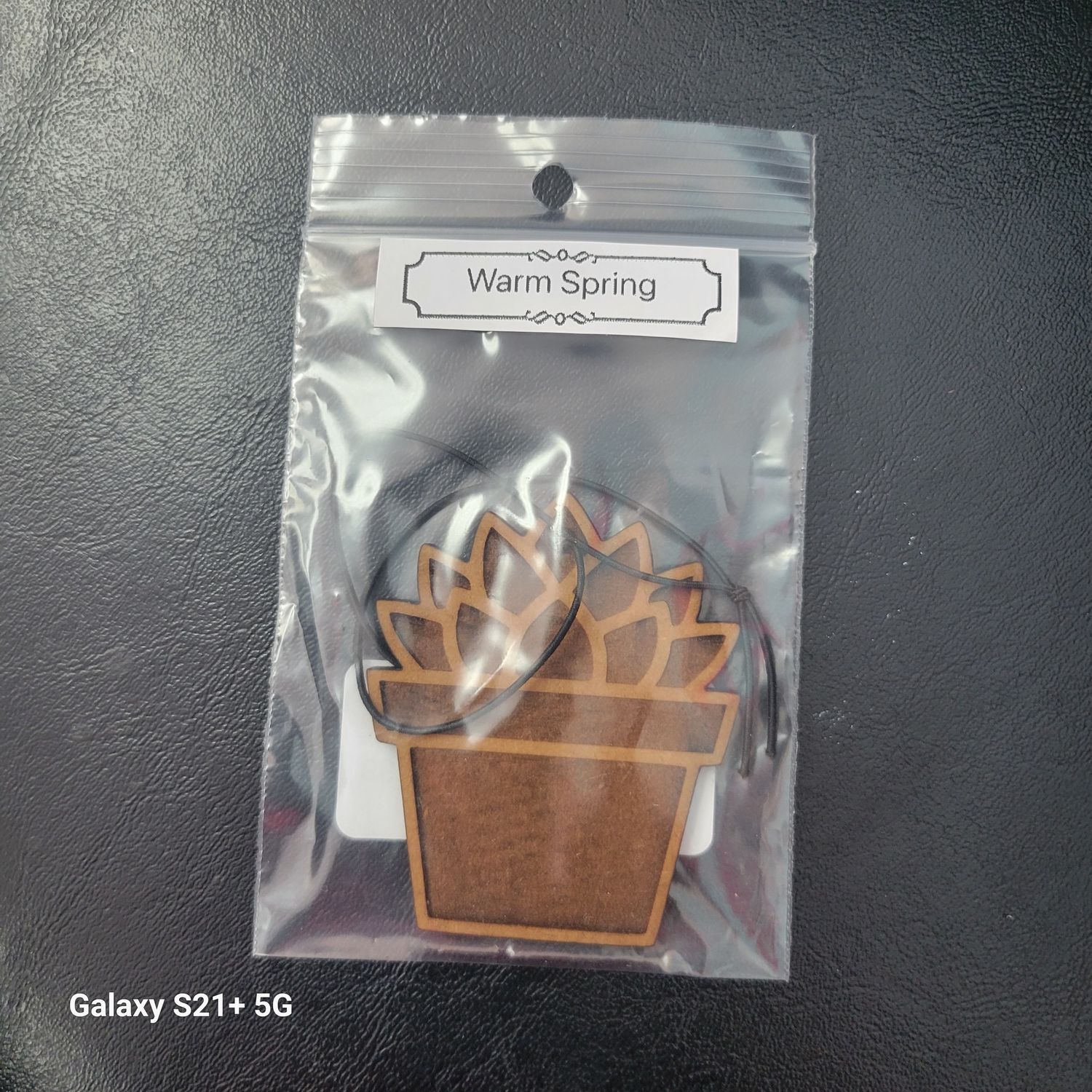 Fernando - Car Freshener Succulent Warm Spring Scent