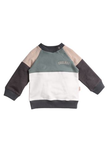 Sweater Colorblock F