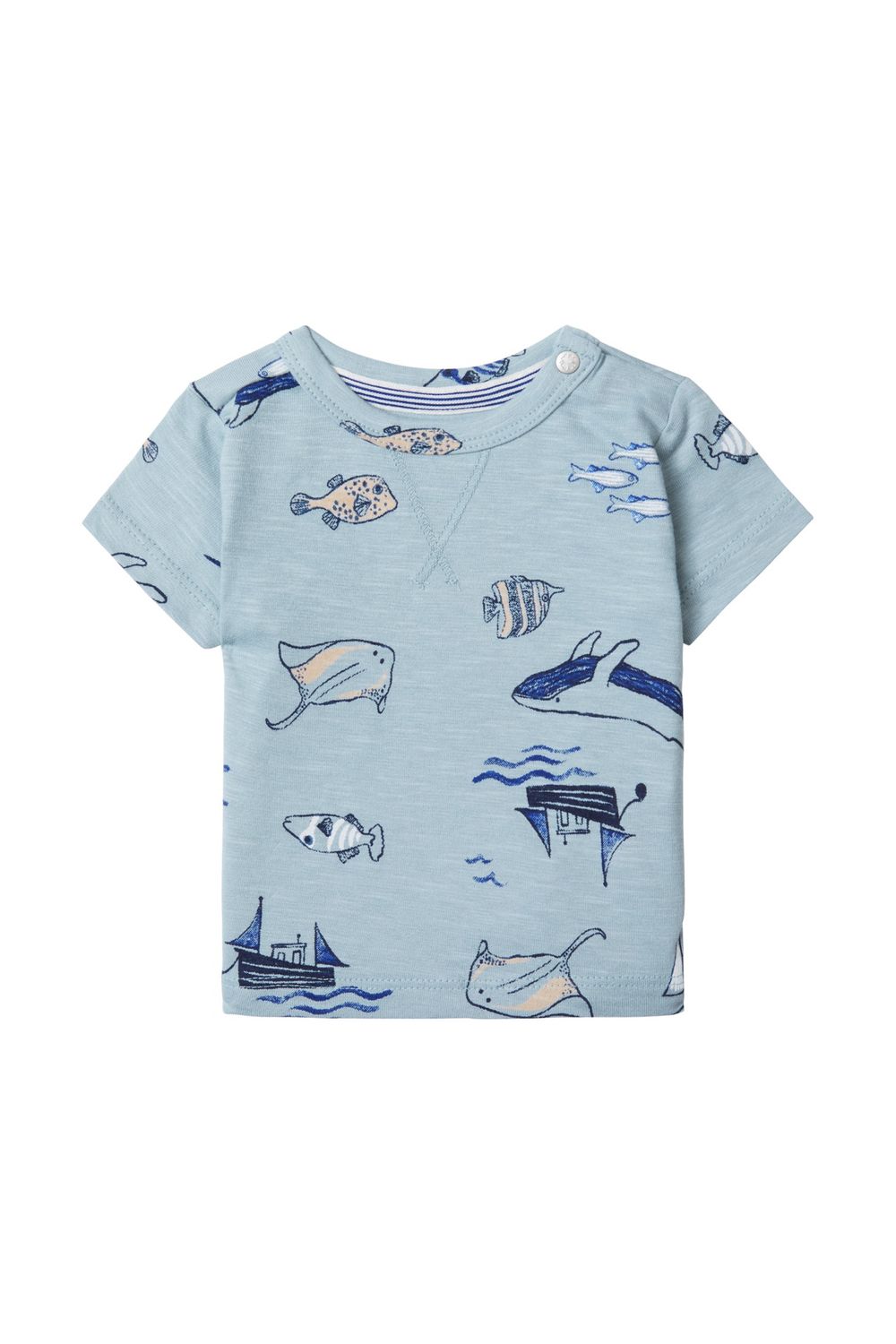 Shirt Bay