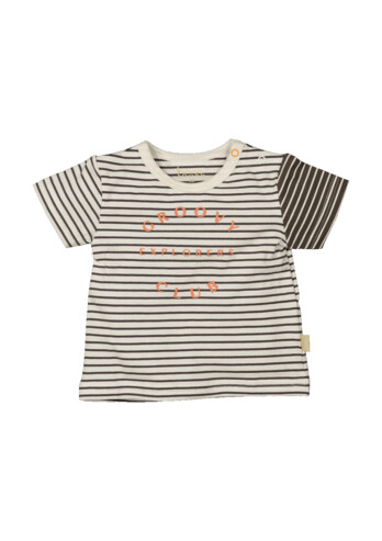Shirt short sleeve Striped