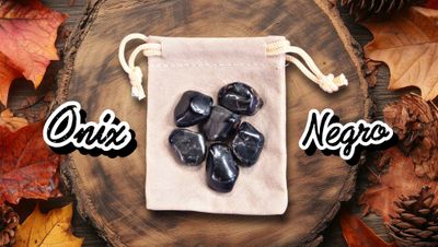 Pack Onix Negro
