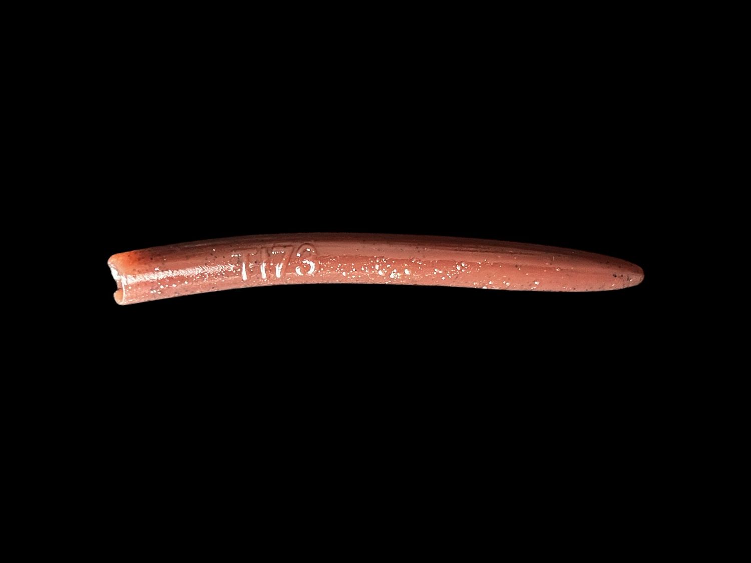 Tournaments Worms 100 Chocolat