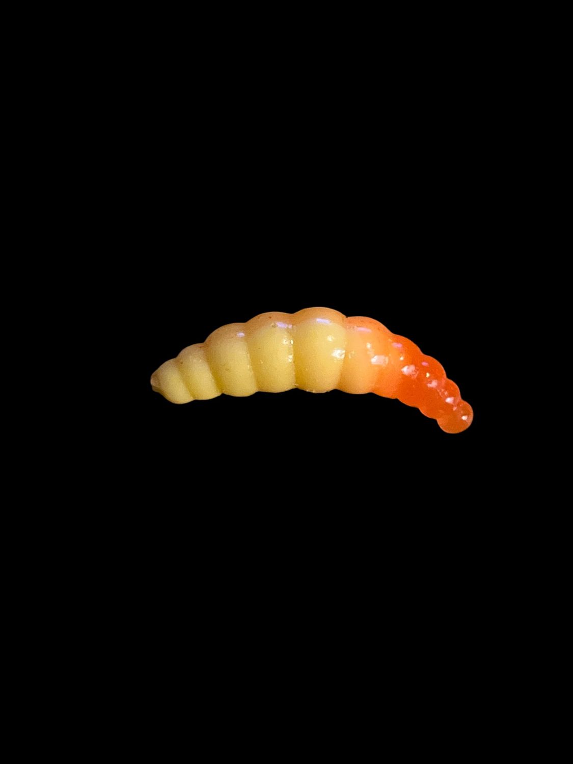 BL Naturel / Hot Orange