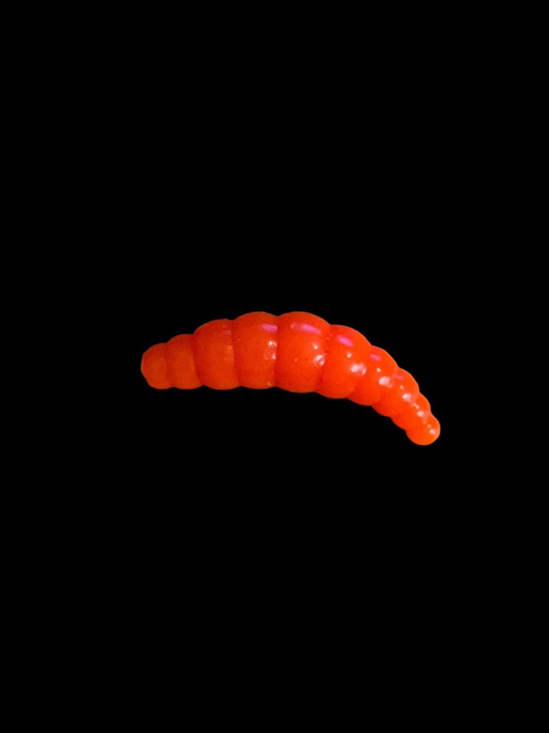 BL Hot Orange