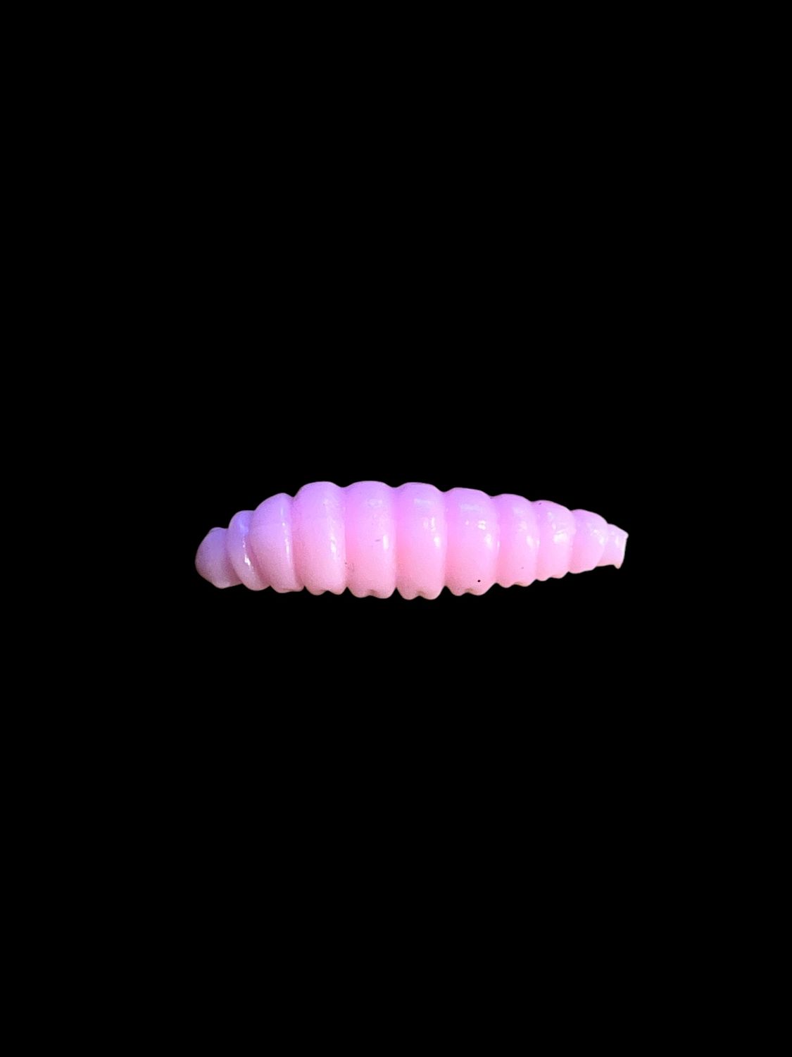 Bubble Gum