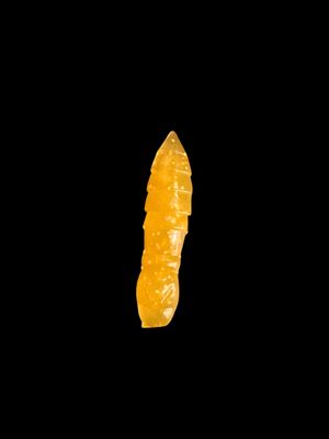 LS Caramelo