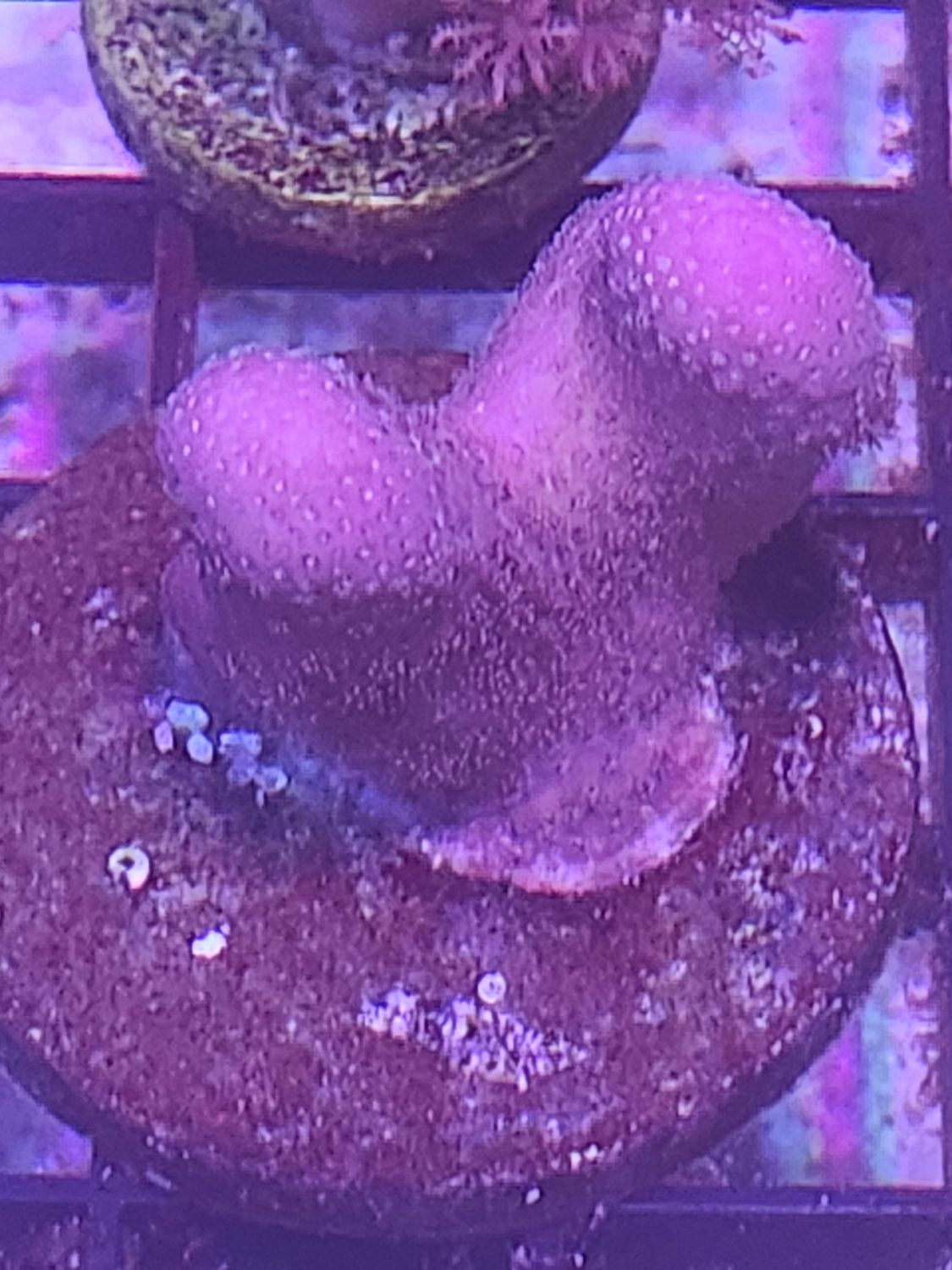E8