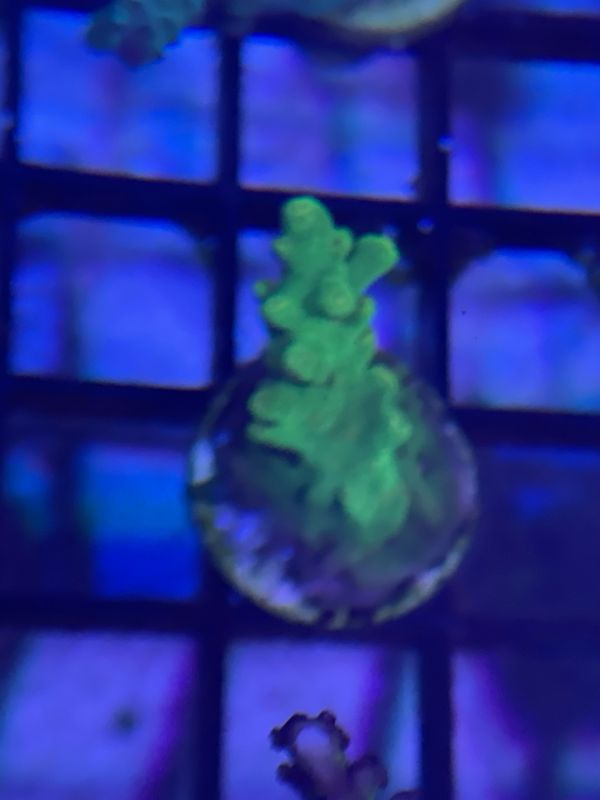 I9
