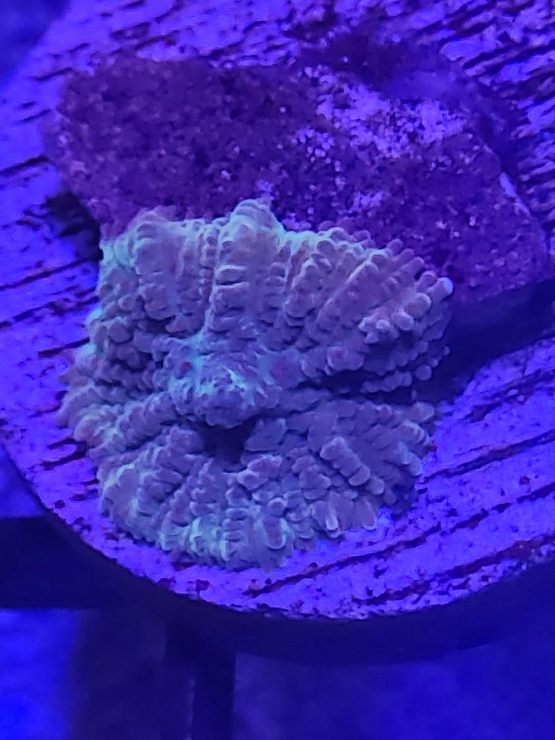 L9