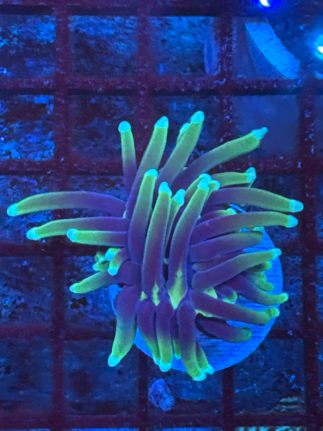 O10