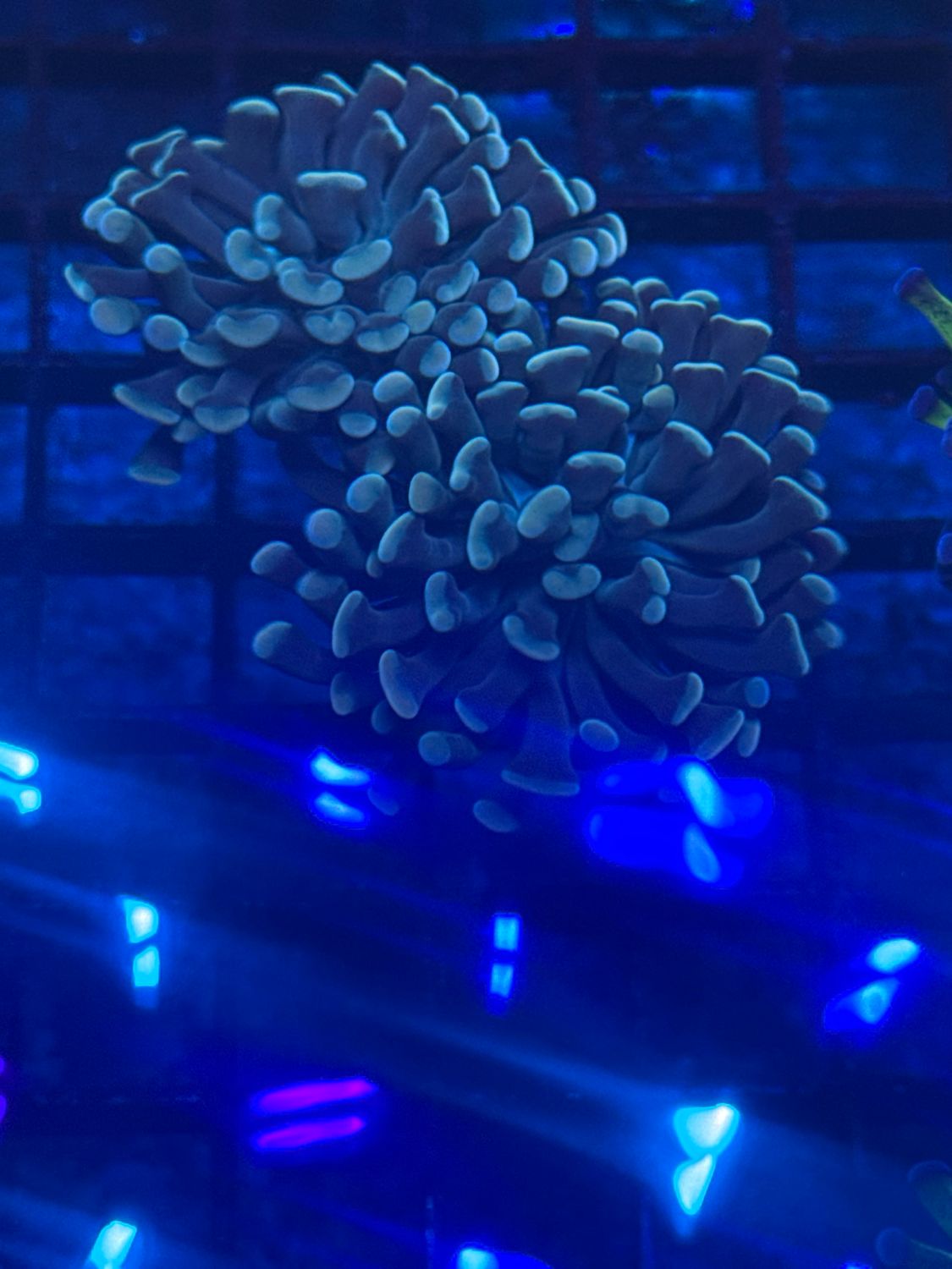 Q5