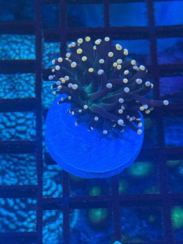 R9