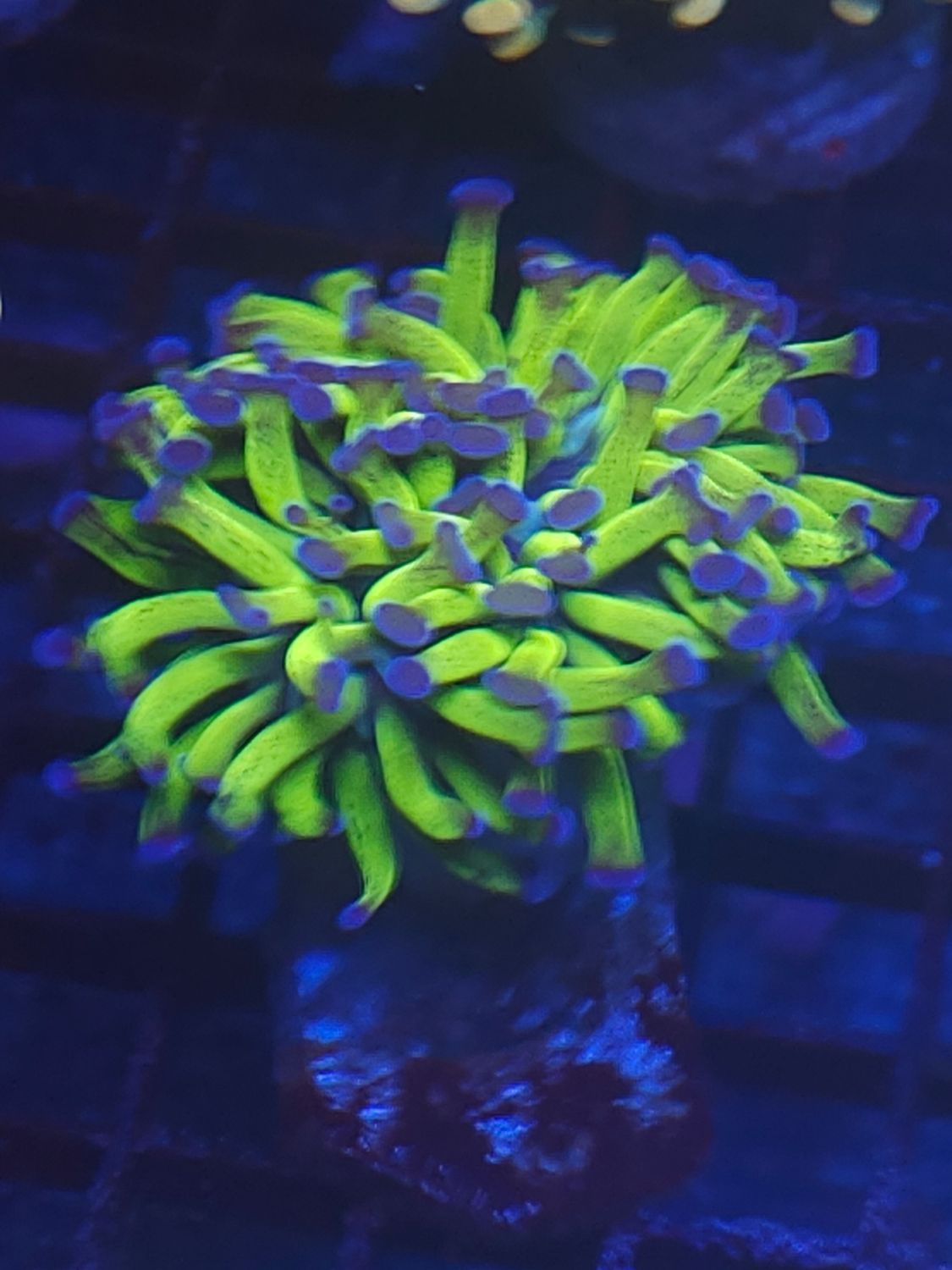 S4