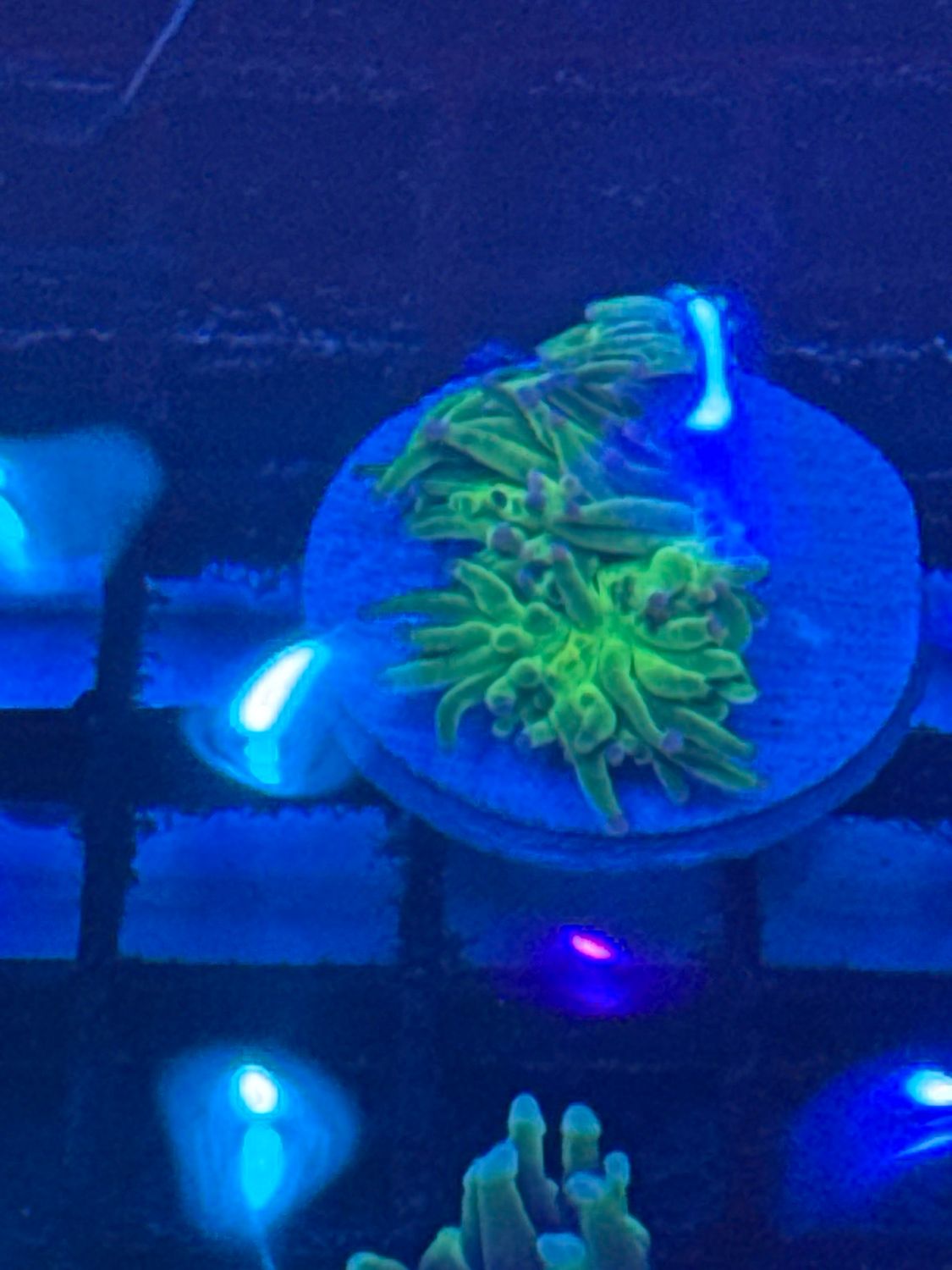 U13