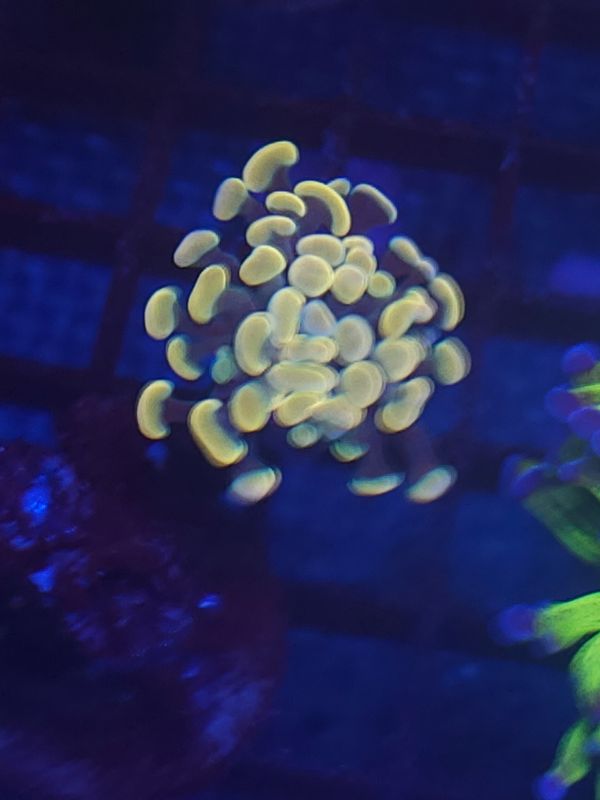 S3