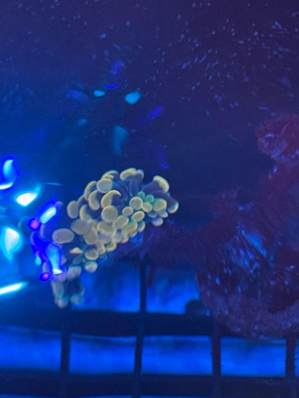 U7