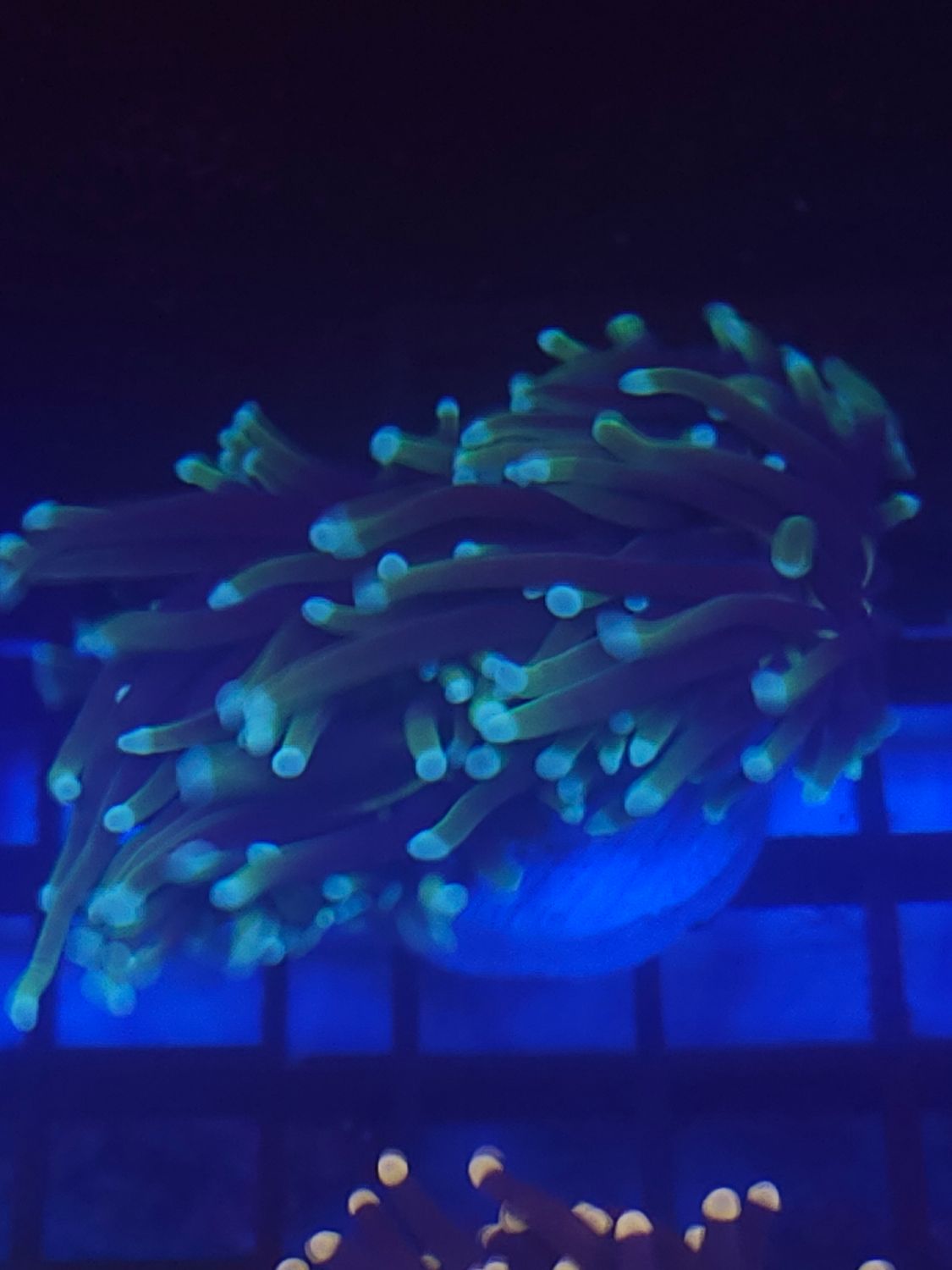 U9