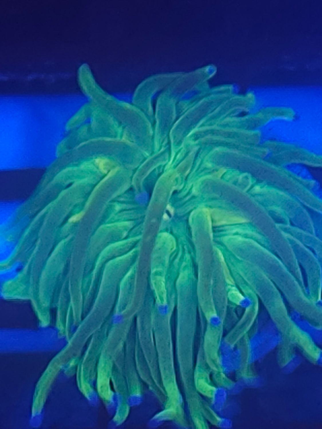 U10