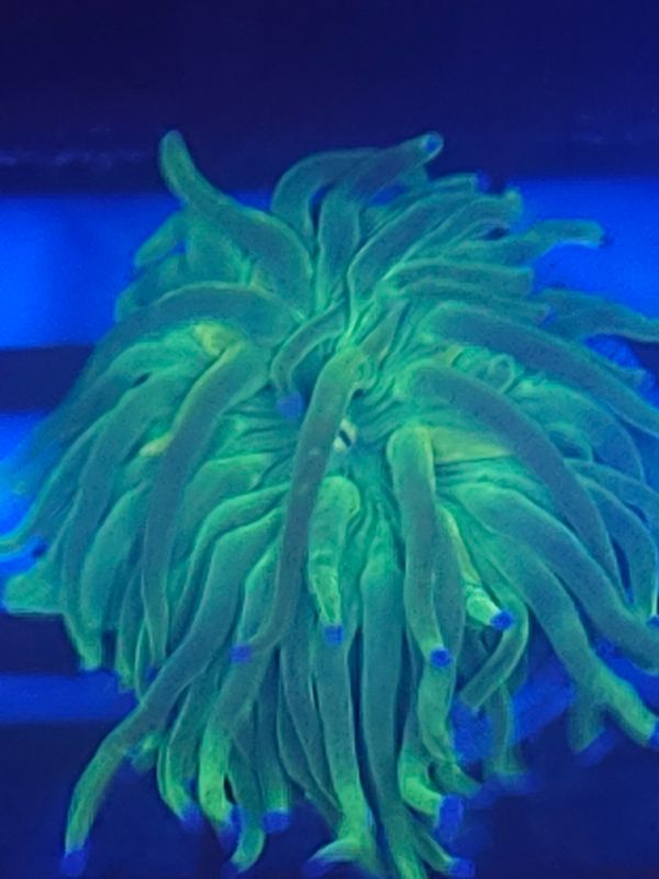 U10