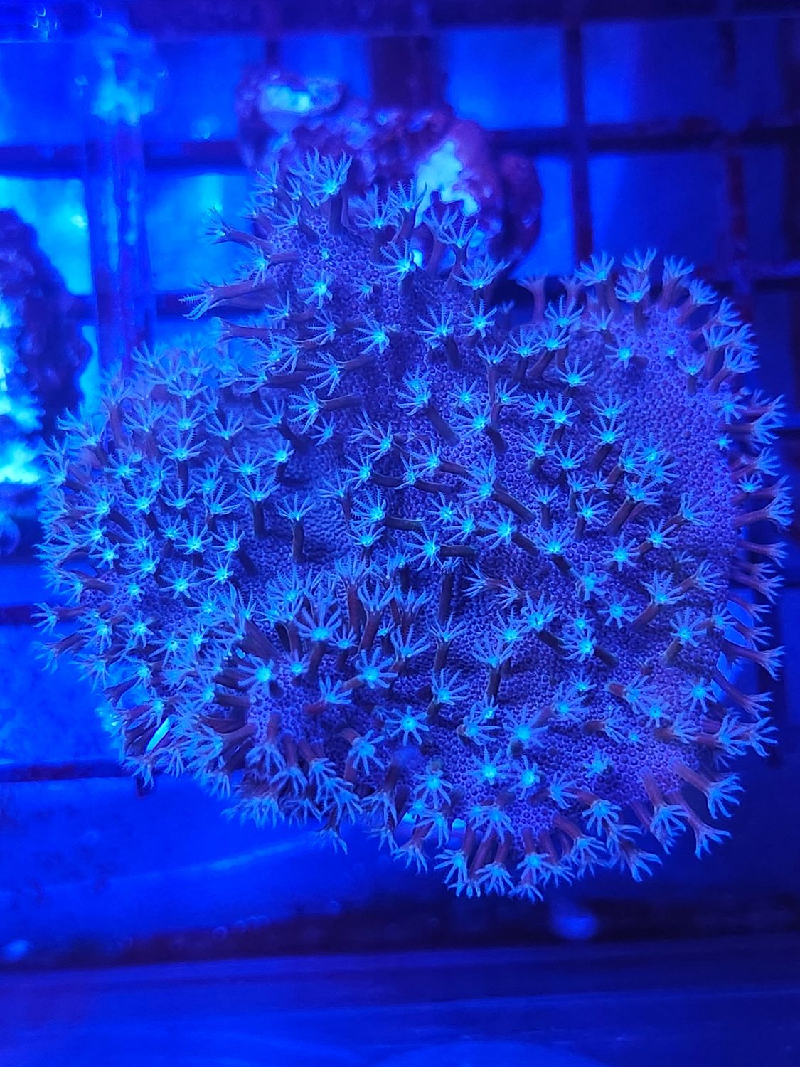 O24