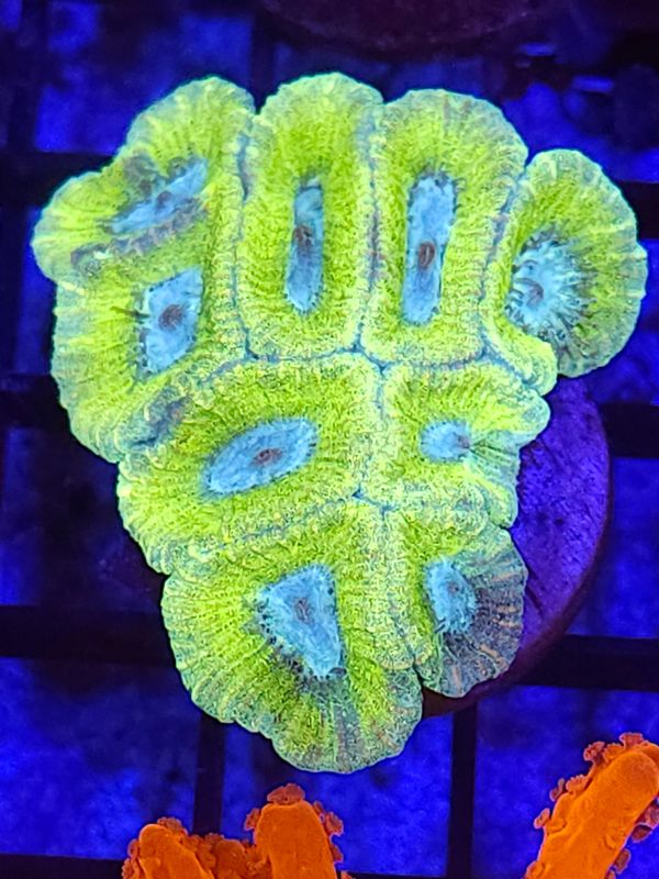 E8