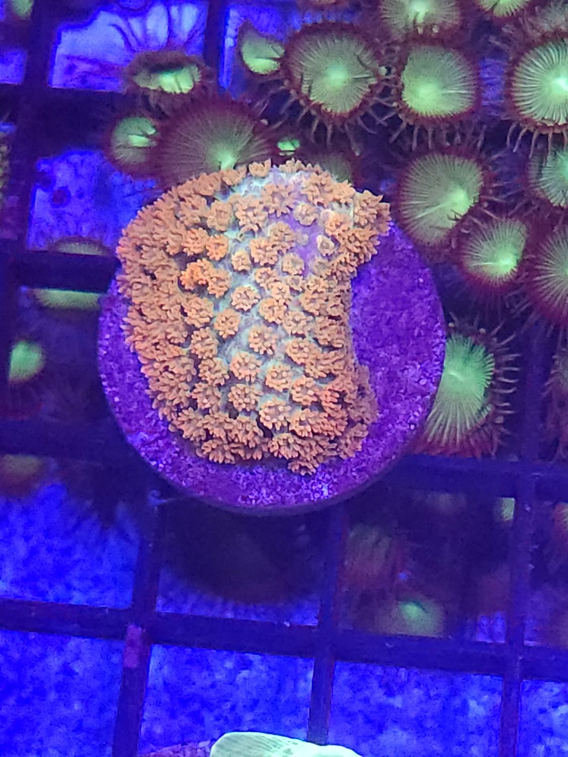 E5