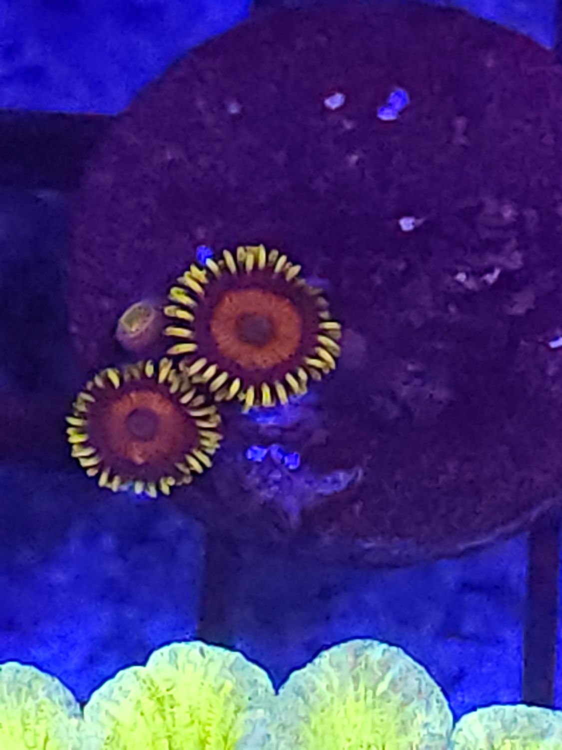 E9