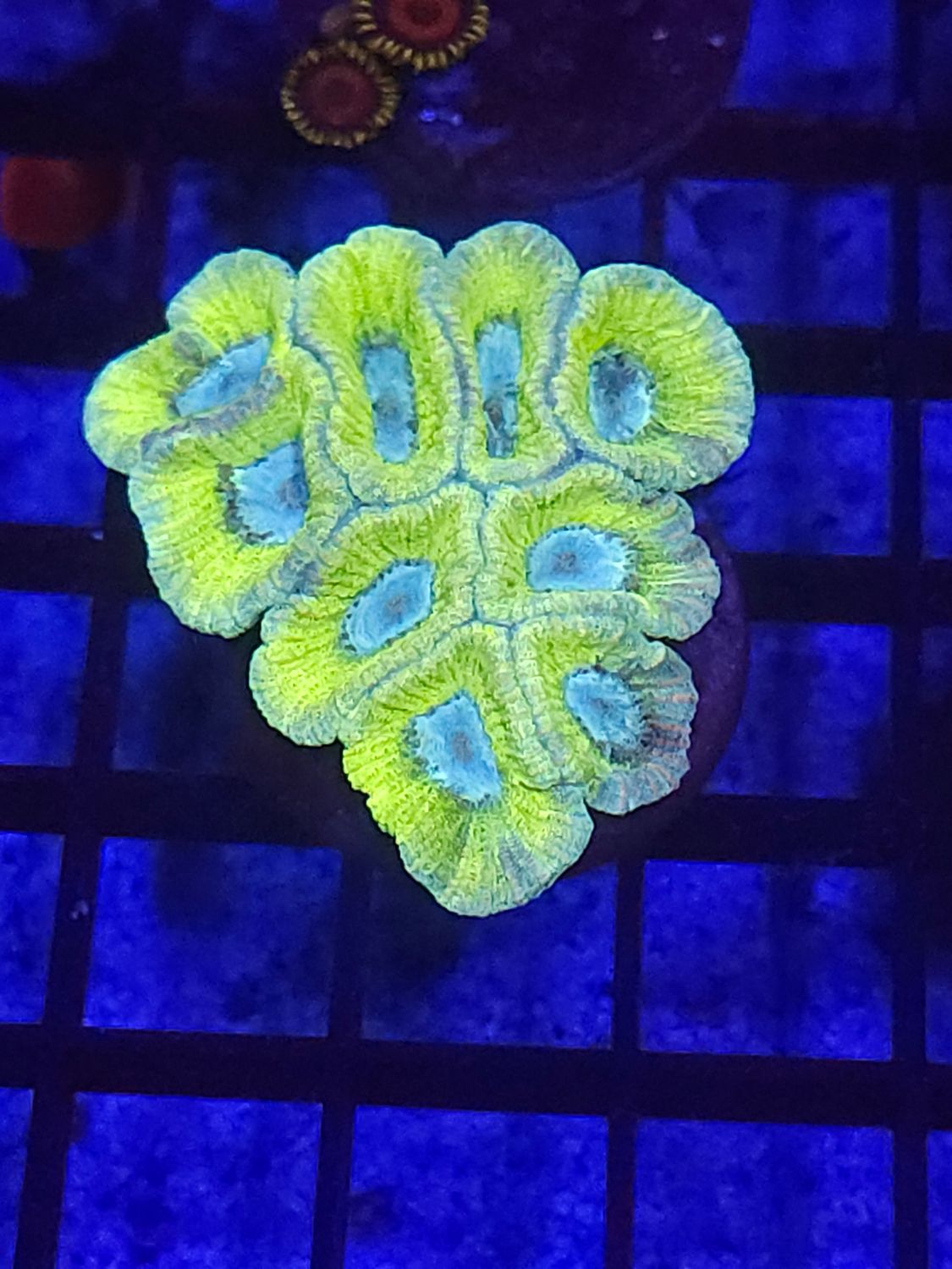 E8