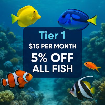 🔥FISH FRENZY STARER 🔥 (TIER 1) 🔥