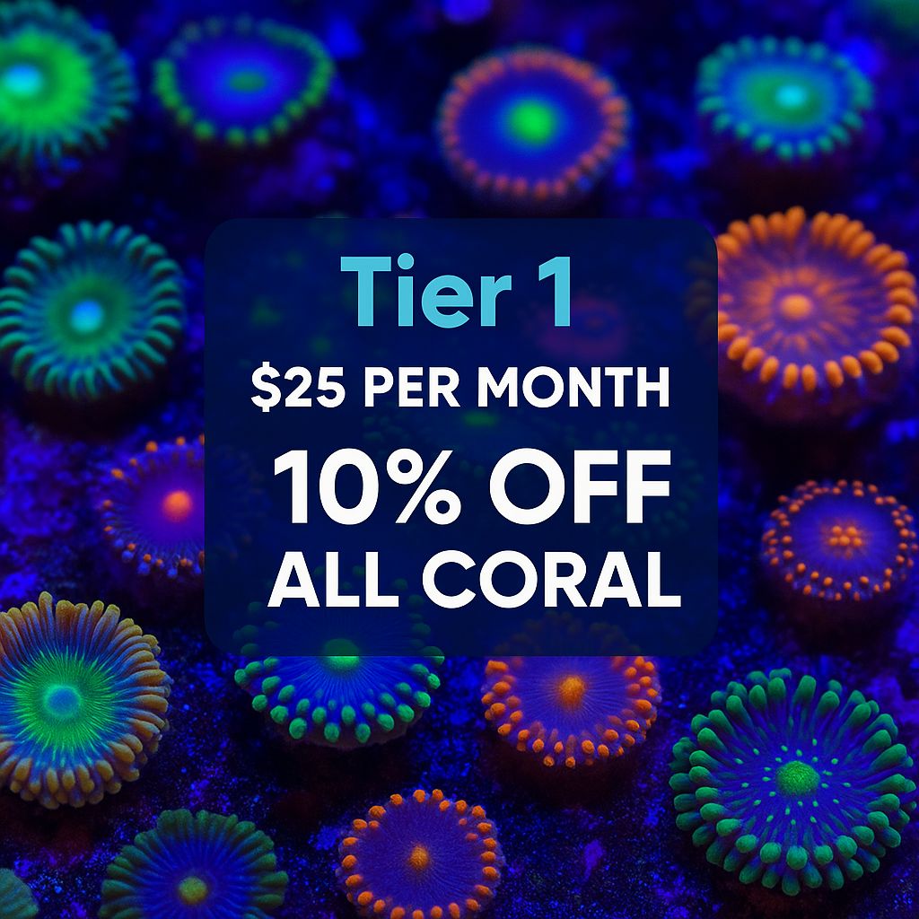 💥 TIER 1 – Coral Starter Saver