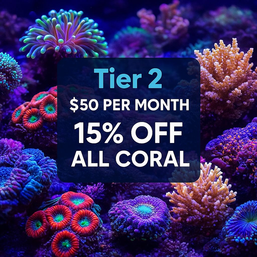 🔥 TIER 2 – Reef Coral Builder Plan 🔥