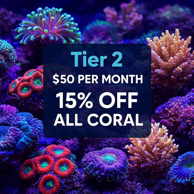 🔥 TIER 2 – Reef Coral Builder Plan 🔥