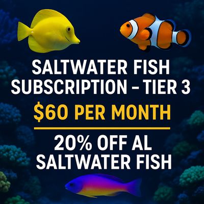 🔥 THE ULTIMATE FISH FANATIC – SALTWATER FISH SUBSCRIPTION (TIER 3) 🔥