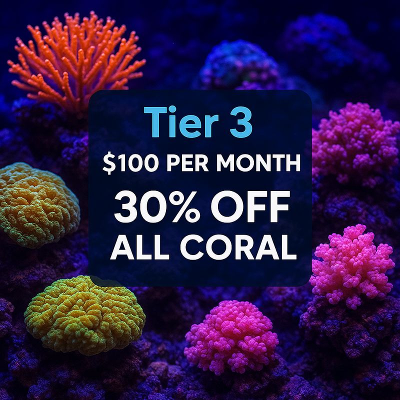 🔥 TIER 3 – ELITE CORAL COLLECTOR 🔥