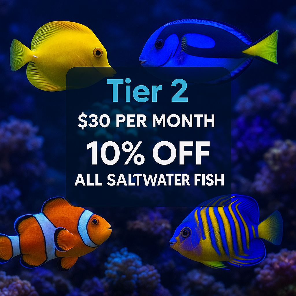 🔥 AQUA ENTHUSIAST – SALTWATER FISH SUBSCRIPTION (TIER 2) 🔥