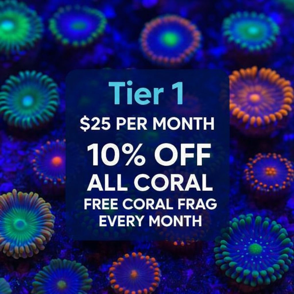 💥 TIER 1 – Coral Starter Saver