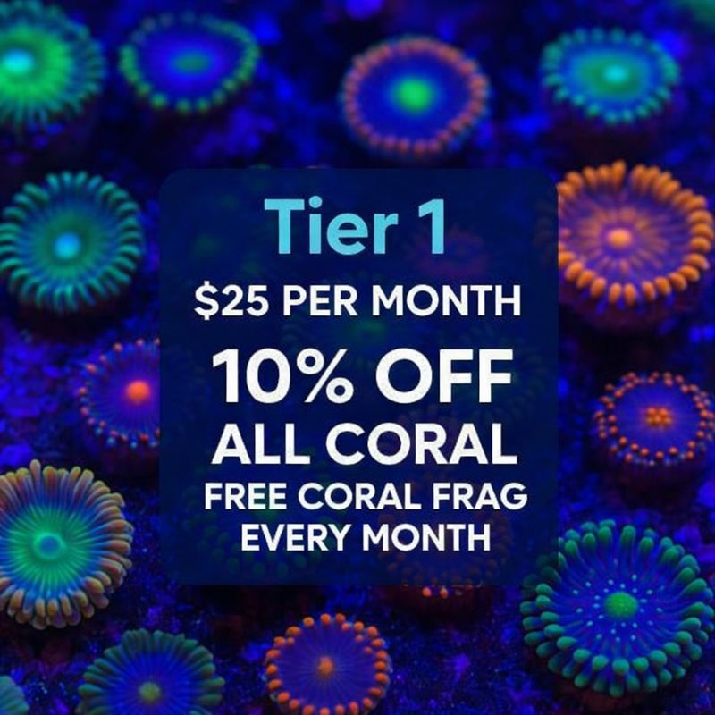 💥 TIER 1 – Coral Starter Saver
