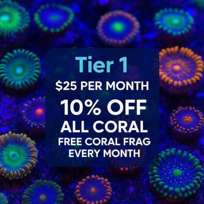 💥 TIER 1 – Coral Starter Saver