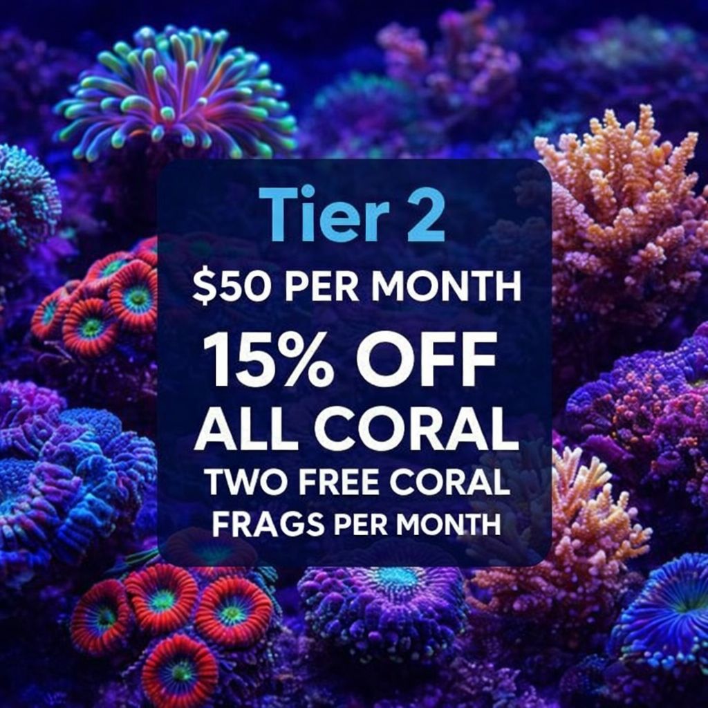 🔥 TIER 2 – Reef Coral Builder Plan 🔥