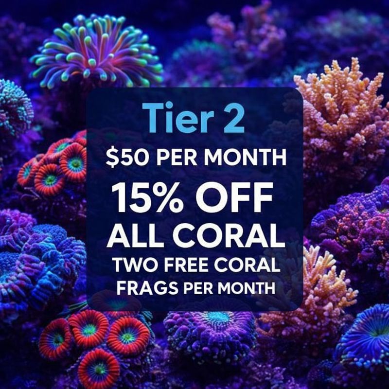 🔥 TIER 2 – Reef Coral Builder Plan 🔥