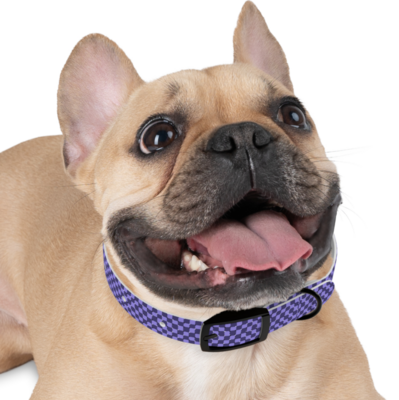 Trippy Purple Checkers Dog Collar - Matching