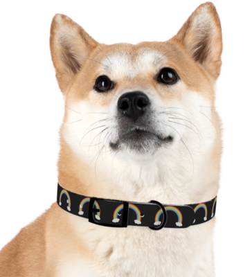 Rainbow Pet Collar - Matching