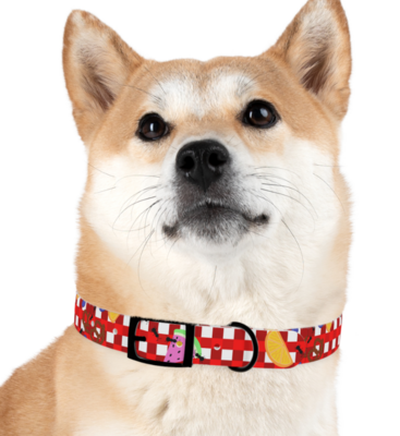 Picnic Pet Collar - Matching
