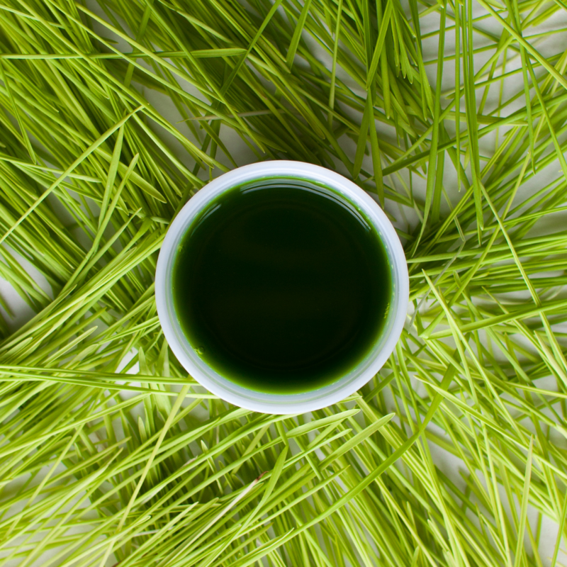 Wheatgrass 2oz