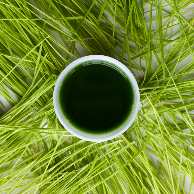 Wheatgrass 1oz