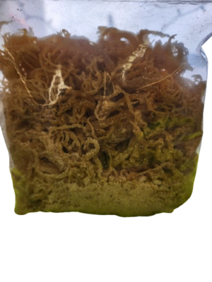 Raw Sea moss 1 lb