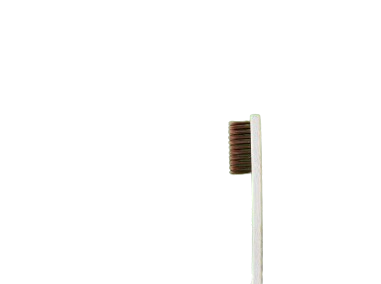 Oral Hygiene